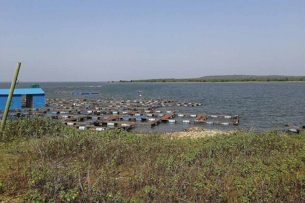 Chennai’s new source of water: Five things to know about Thervoy ...