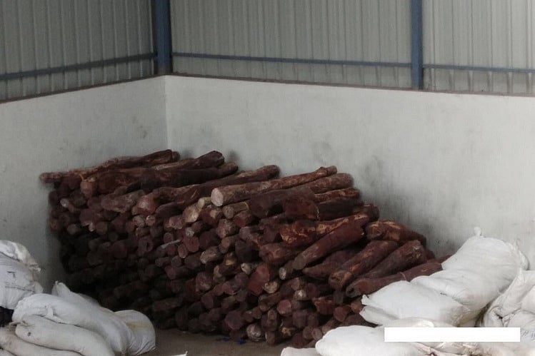 The great forest robbery How Andhra’s rare red sanders are smuggled