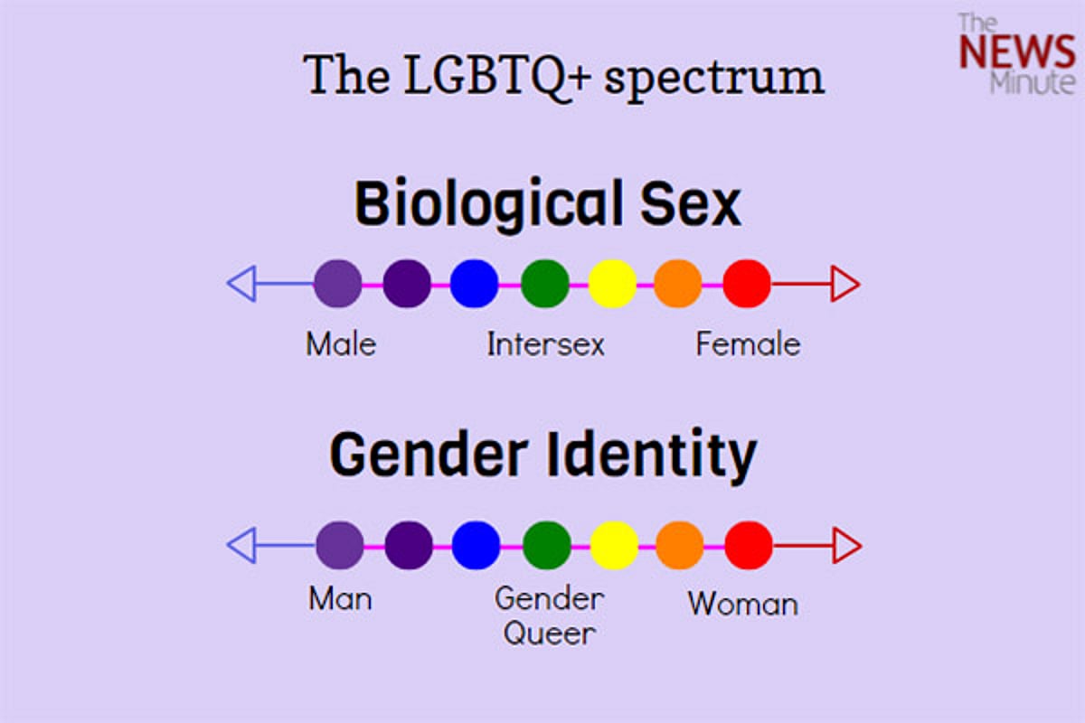 Understanding LGBTQ+ An exhaustive explainer on gender and sexual