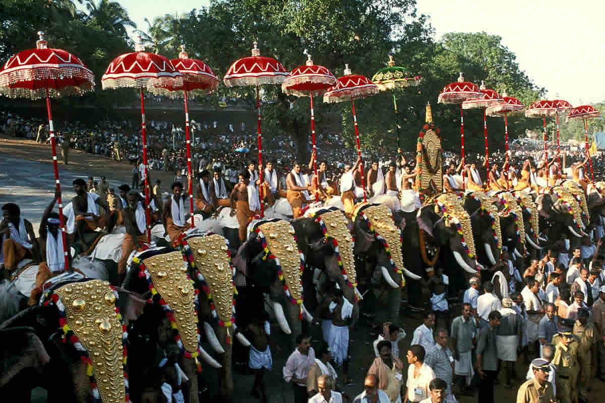 How elephants form an integral part of the cultural ethos in God’s own ...