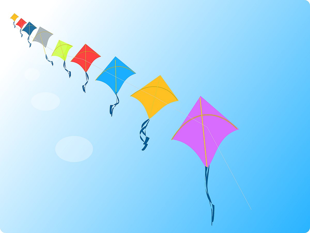 No ban on kite flying during Sankranti Hyd police commissioner