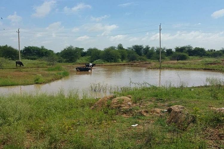 Lake buffer zones in Bengaluru Activists accuse govt of siding with errant builders