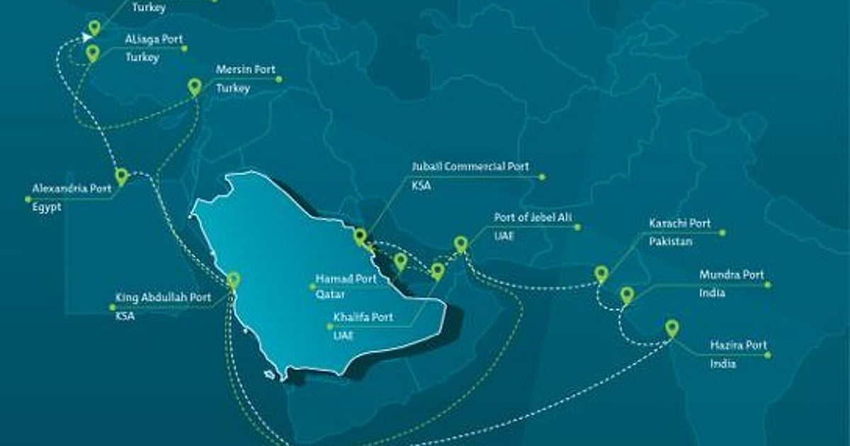 Msc Routes New MSC Service to Connect Jubail Commercial Port to 11 Global Ports
