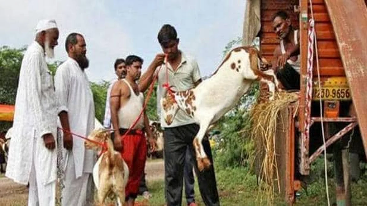 पेटा का दोगला स्वरूप आया सामने, पशुओं के लिए काम करने वाली संस्था ने जाहिर किया अपना असल रूप