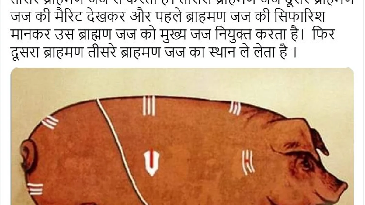 दलितों के लिए जातिगत शब्द प्रयोग करना गलत है तो ब्राम्हणों को सुअर बताना किस अभिव्यक्ति की आजादी के तहत आता है।