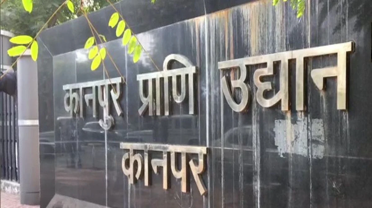 बर्ड फ्लू इफेक्ट: कानपुर चिड़ियाघर में सभी पक्षियों को मारने के आदेश
