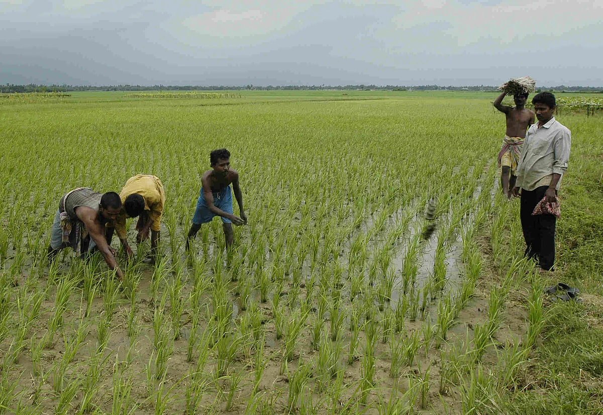 uttar pradesh budget 2022: योगी सरकार ने बजट में किसानों को क्या दिया? यहां जानें