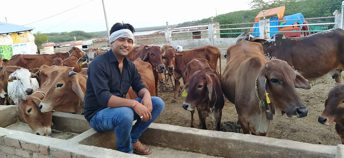 इटावा: सिविल इंजीनियर ने जंगल में कर दिया कमाल! साहिवाल गायों से कमा रहे 12-15 लाख रुपये