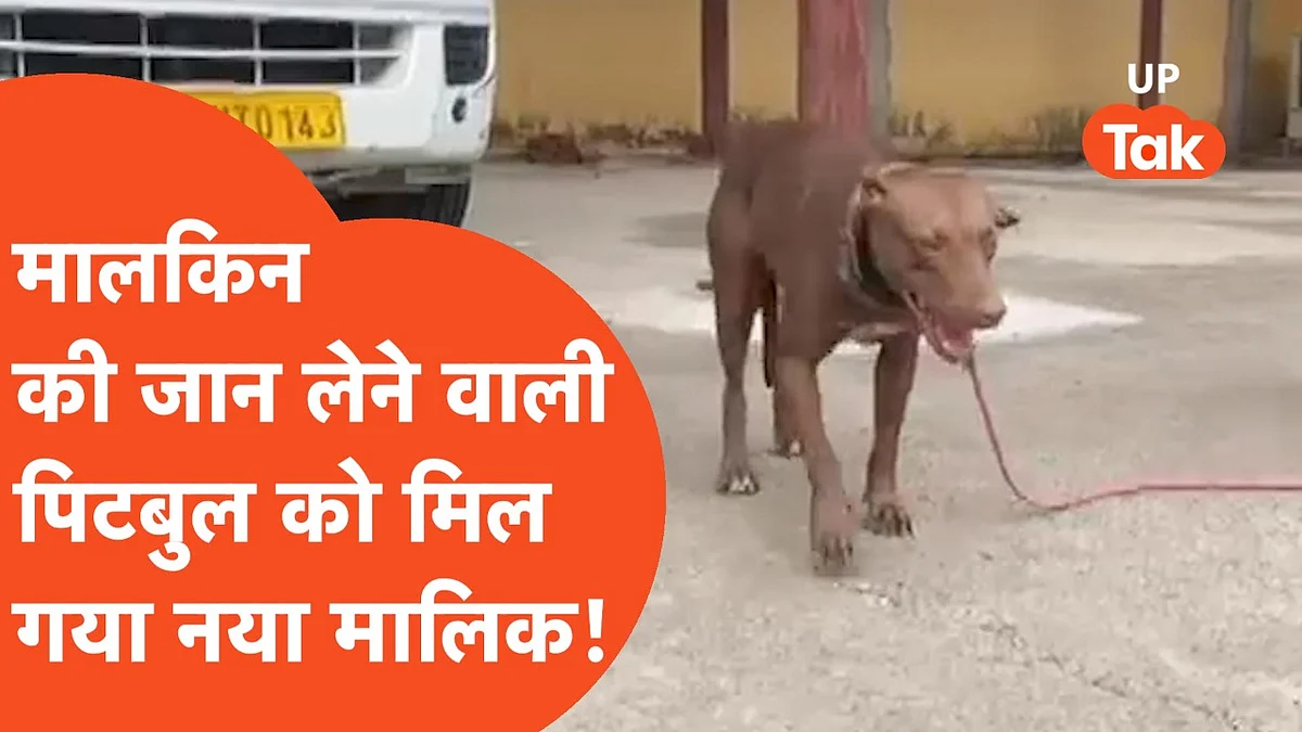 Video: बुजुर्ग मां को काट खाने वाले पिटबुल से जब 14 दिन बाद मिला बेटा तो दिखा ये नजारा