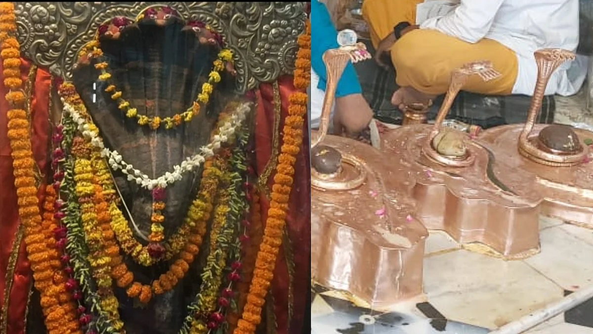 नाग पंचमी: प्रयागराज के इन 2 मंंदिरों में पूजन करने से कालसर्प दोषों से मिलती है मुक्ति