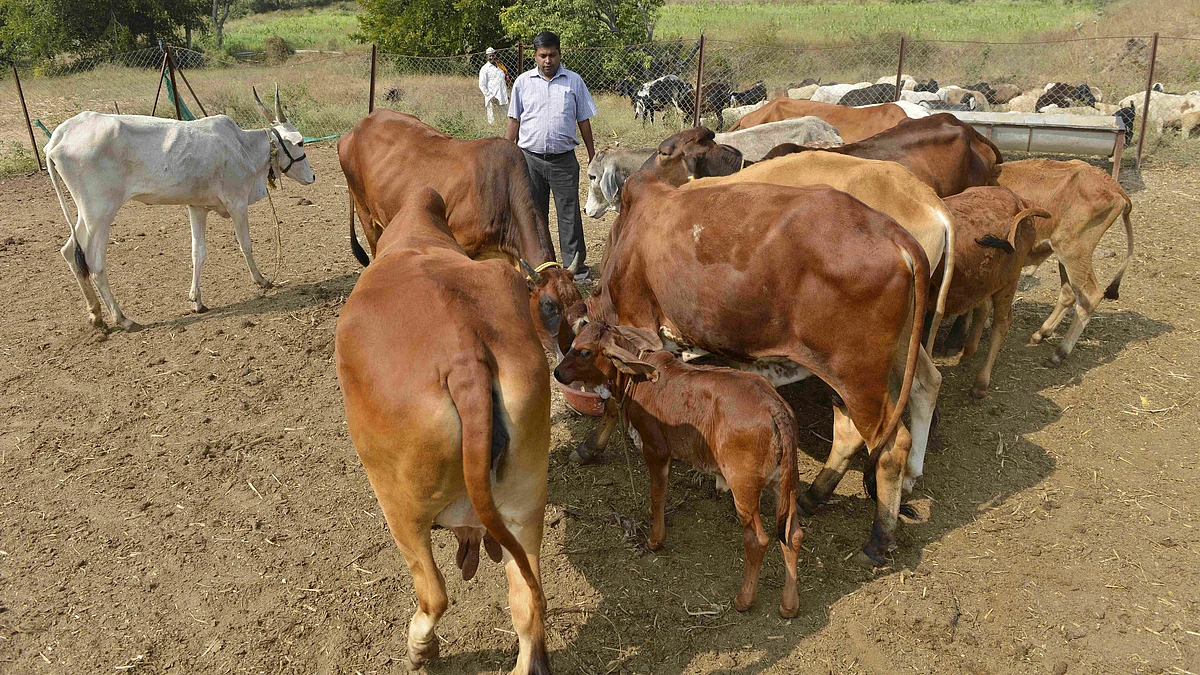 सांकेतिक तस्वीर
