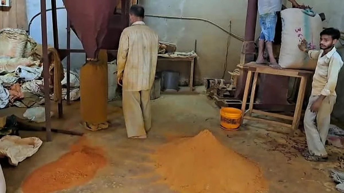 चाट मसाले में घोड़े-गधे की लीद? फिरोजाबाद में हुई छापेमारी तो हुआ चौंकाने वाला खुलासा