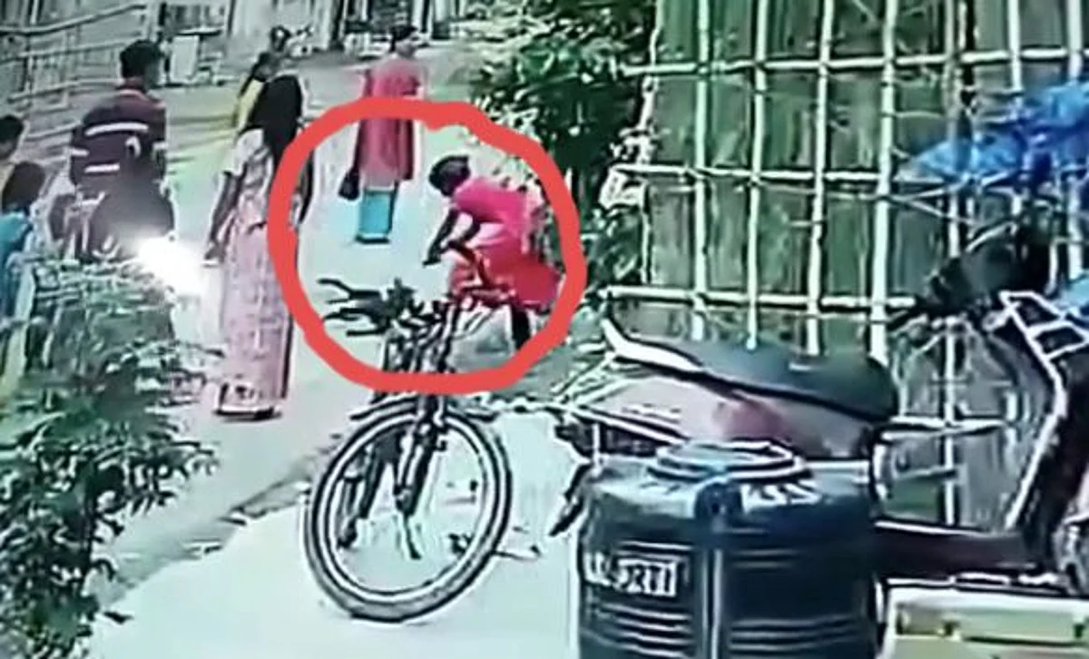 आगरा में सड़क पर कुत्ते को बेरहमी से पीटती दिखी महिला, सामने आई ये वजह, वीडियो हुआ वायरल