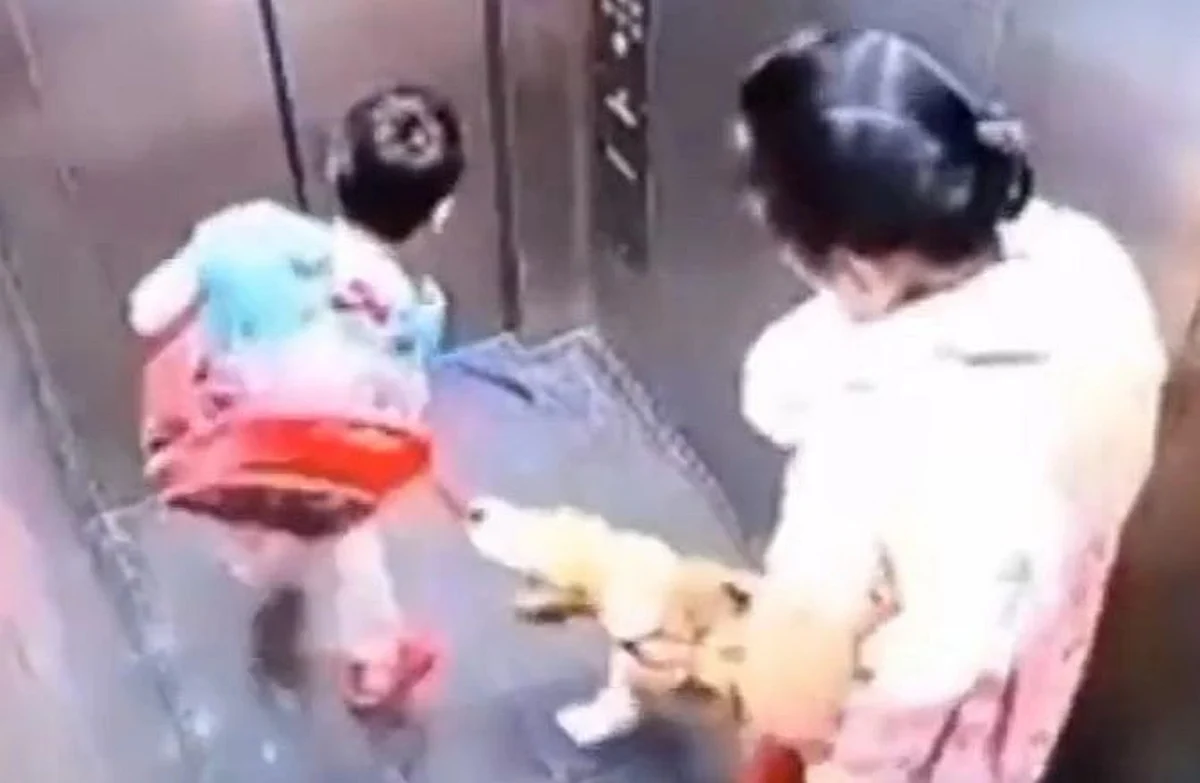 गाजियाबाद: लिफ्ट में डॉग बाइट का मामला, ओनर पर निगम ने लगाया जुर्माना, कही ये बात