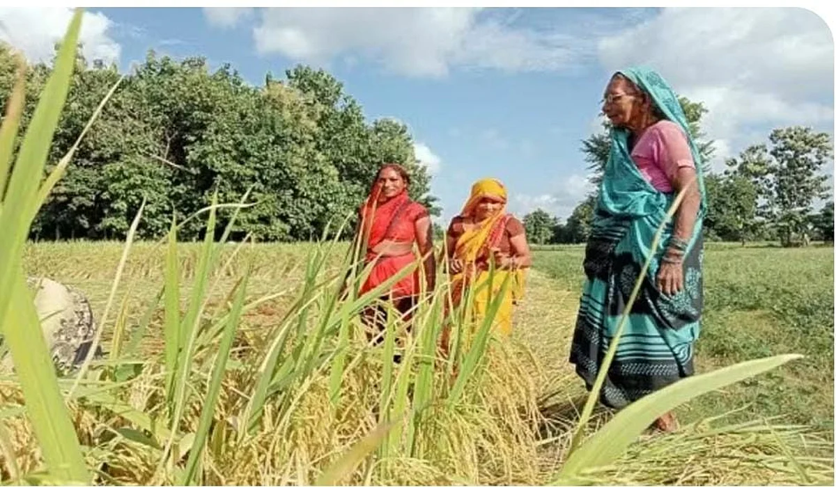 गोरखपुर: मजदूरी करते-करते बनी सफल महिला किसान, इस तरीके की किसानी ने बदल दी किस्मत