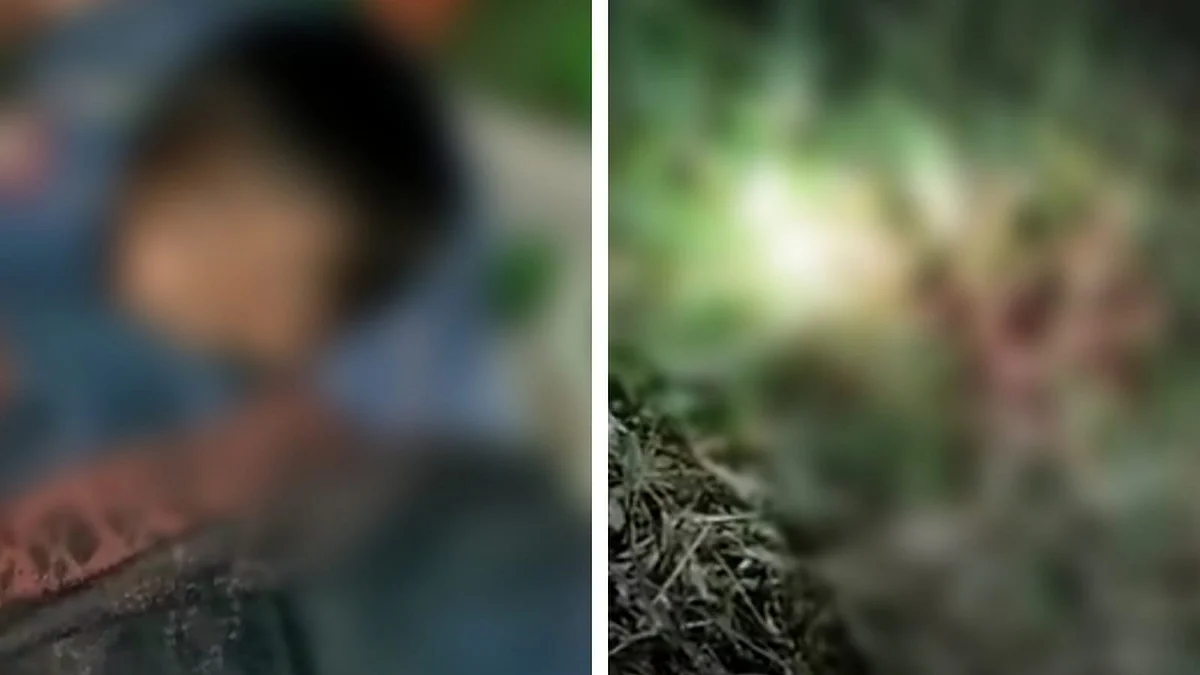 बलरामपुर: घर से निकला बच्चा तभी पेड़ के पीछे छिपे तेंदुए ने किया हमला, मासूम की हुई मौत