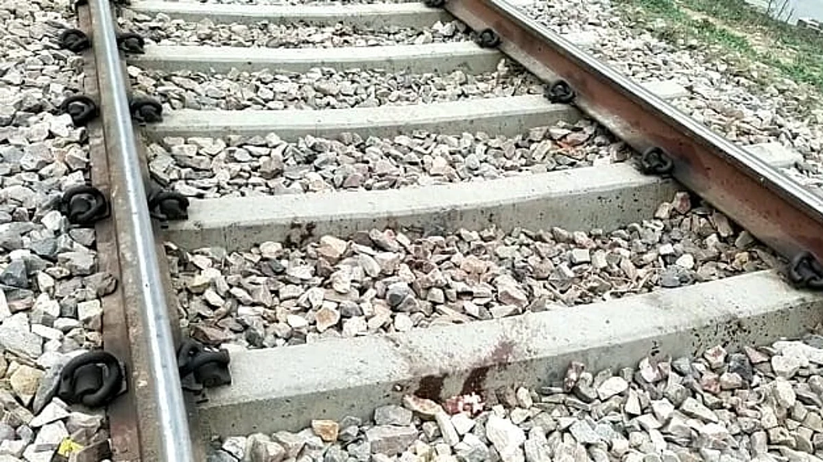 एटा: ट्रेन का हॉर्न बजा और बच्चे को पटरी पर खींच ले गया कुत्ता, दोनों की हुई दर्दनाक मौत