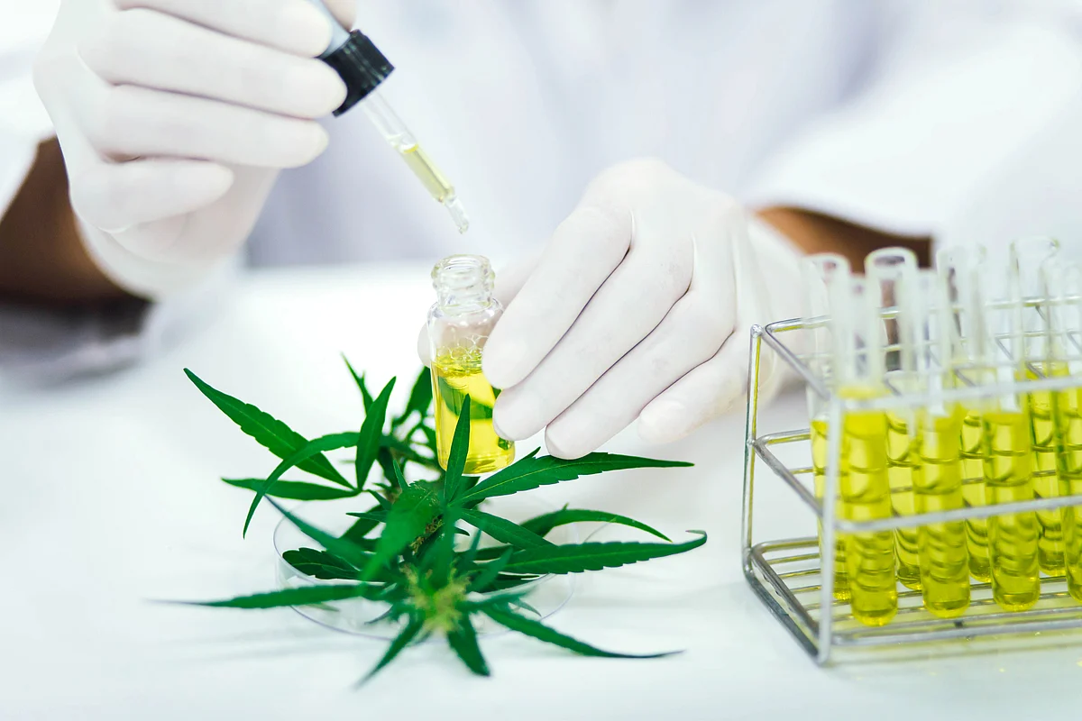 Researchers Looking At CBD To Treat COVID-19 Lung Inflammation