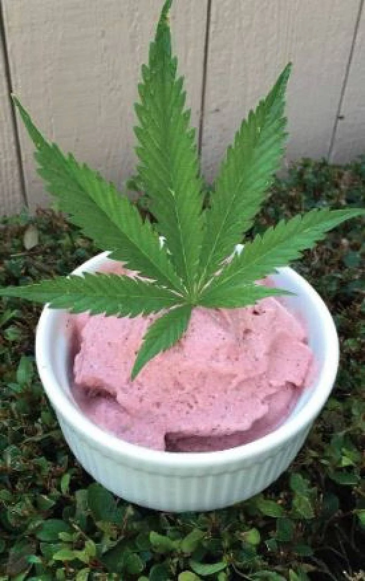 "Cooking With CBD"