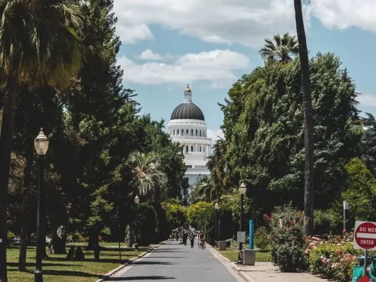 Governor Newsom Approves New Cannabis Laws