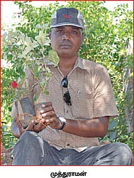 அழகா செய்தால் அள்ளலாம் லாபம்! - 4