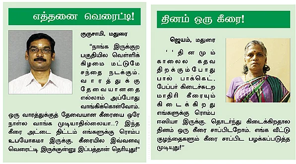 கீரை அட்டை... மதுரையைக் கலக்கும் 'மாத்தி யோசி’ பிசினஸ்!