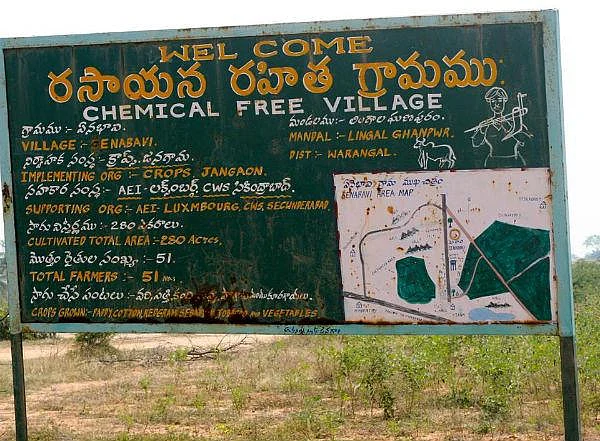 15 வருடங்களாக இங்கே விவசாயத் தற்கொலைகளே இல்லை... இயற்கை விவசாயத்தால் மீண்ட தெலங்கானா கிராமம்!