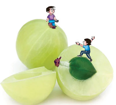 மாயா டீச்சரின் மந்திரக் கம்பளம் !