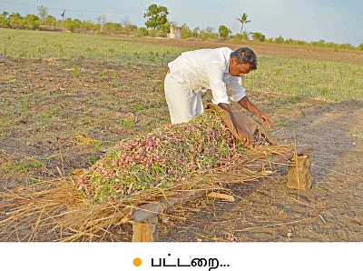 ‘சின்ன’ வெங்காயம்...‘பெரிய’ லாபம்!