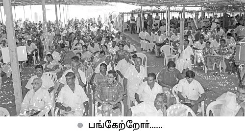 பண்ணையில் பசுமைத்திருவிழா!