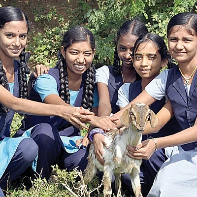 வயலுக்குச் சென்றோம் விவசாயம் படித்தோம்!