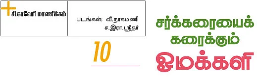 சர்க்கரையைக் கரைக்கும் ஓமக்களி