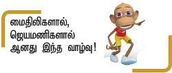 ஓர் உணவுவிடுதியும் இரண்டு காதலிகளும்