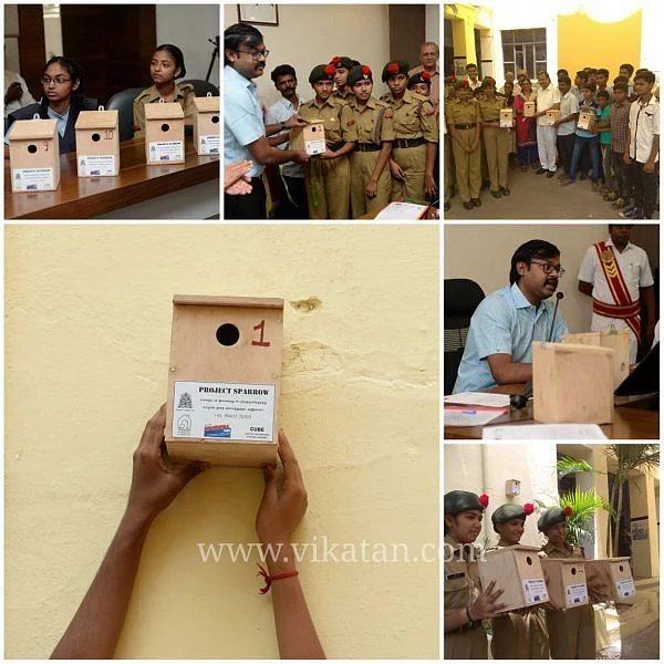 சிட்டுக்குருவிகளைக் காக்க சூழலியல் ஆர்வலர்களுடன் களமிறங்கிய கோவை மாநகராட்சி!