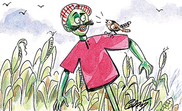 சோளக்கொல்லை பொம்மை - சிறுகதை