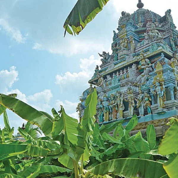 குறை தீர்க்கும் கோயில்கள் - 15 - வாழையடி வாழையாய் வாழவைக்கும் ஈஸ்வரன்!