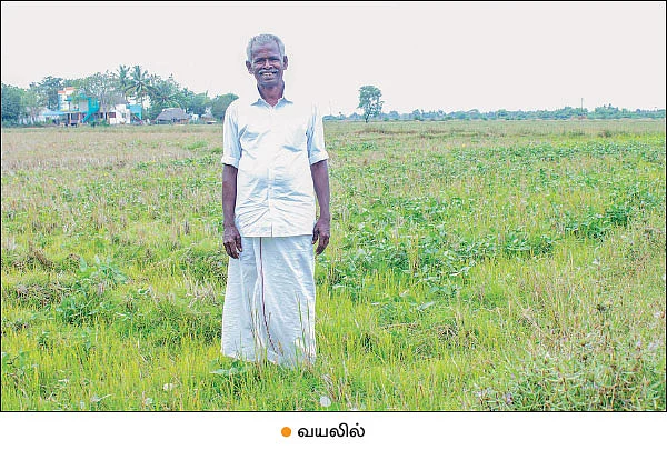 உன்னதமான வருமானம் கொடுக்கும் உளுந்து!
