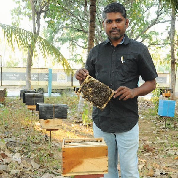 கொஞ்சம் ப்ளஸ்... நிறைய லாபம்! - தித்திக்கும் லாபம் தரும் தேன்!