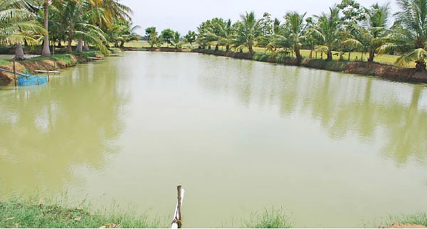‘‘கோசாலை அமைக்க நிதி உதவி கிடைக்குமா?’’