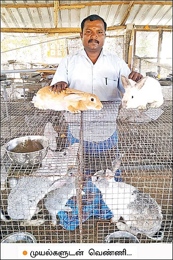 பணம் குவிக்கும் பண்ணைத்தொழில்கள் - 7 - மாதத்துக்கு ரூ. 45,000 லாபம்!
