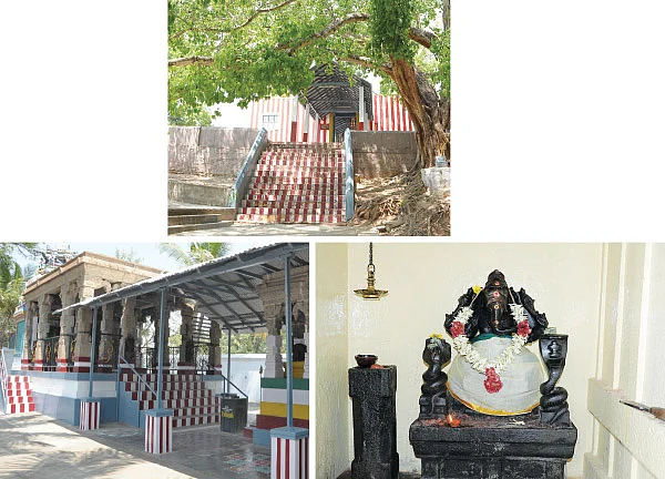 சர்ப்ப தோஷங்கள் நீங்கும்... சந்தோஷம் பெருகும்!