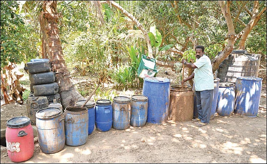 கூட்டு மரச்சாகுபடியில் நிறைவான வருமானம்! - இரண்டரை ஏக்கர்... ஆண்டுக்கு ரூ. 2 லட்சம்...