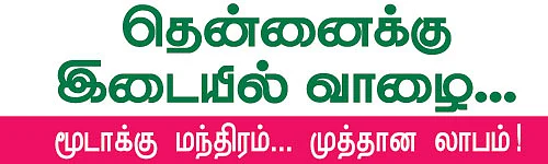 தென்னைக்கு இடையில் வாழை...