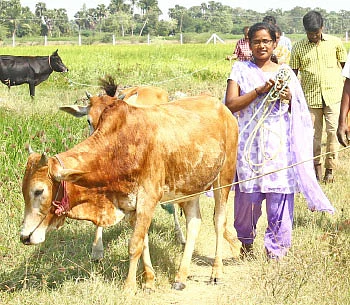 ’ஒரு நாள் விவசாயி!’