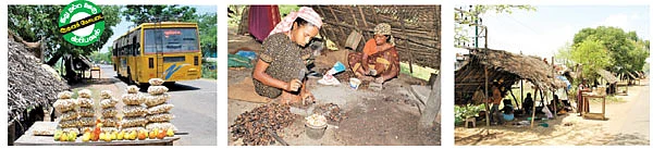 ஆதனக்கோட்டை முந்திரியின் கதை!