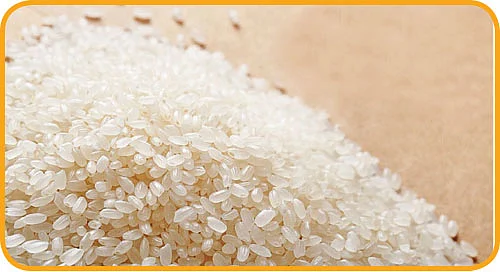 மை டியர் ஜீபா!