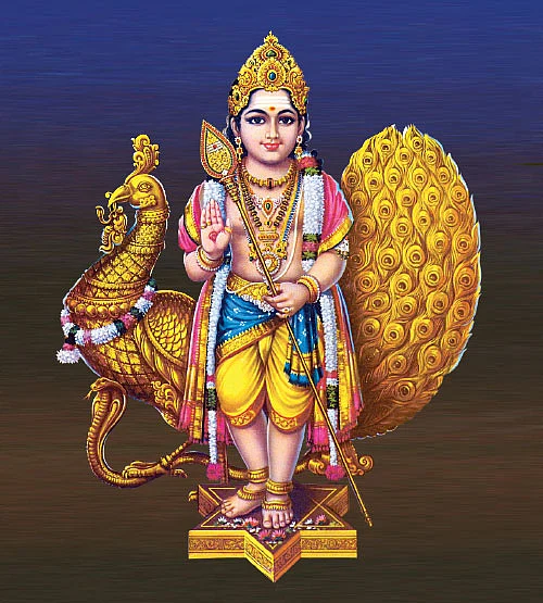 தினமும் படிக்க வேண்டிய தெய்வ சுலோகங்கள்!