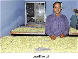 பலே வருமானத்துக்கு பட்டு வளர்ப்பு...
