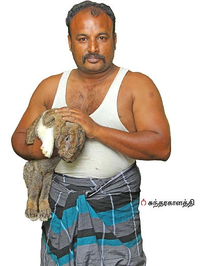 முத்தான வருமானம் தரும் முயல் வளர்ப்பு!