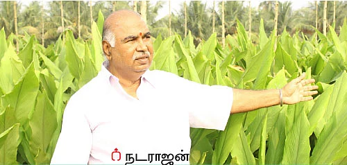 பஞ்சகவ்யா - 2